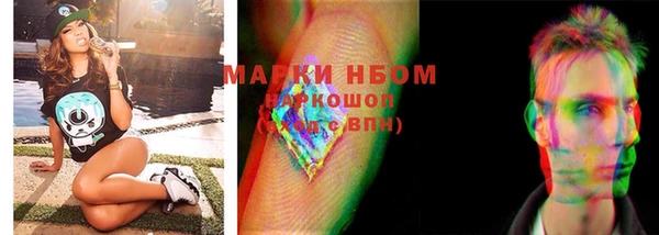 прущие грибы Волоколамск