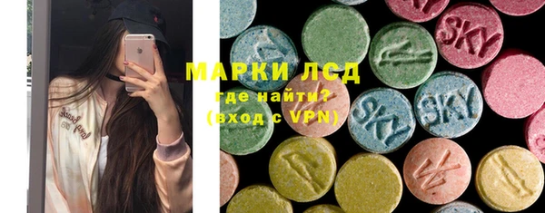 прущие грибы Волоколамск